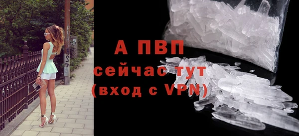 стафф Новокубанск