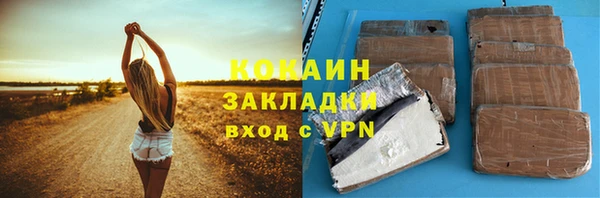 твердый Новозыбков