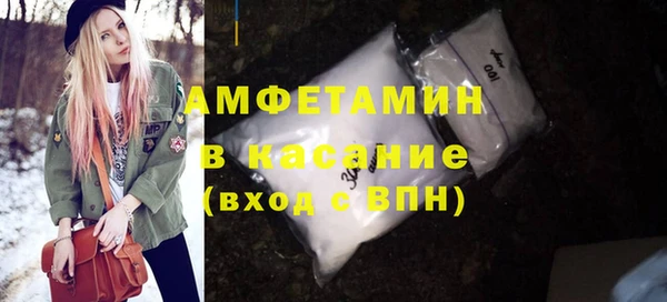 твердый Новозыбков