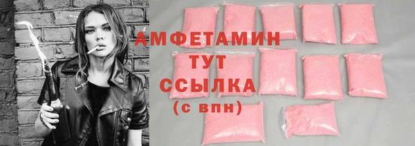 твердый Новозыбков
