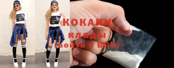 твердый Новозыбков