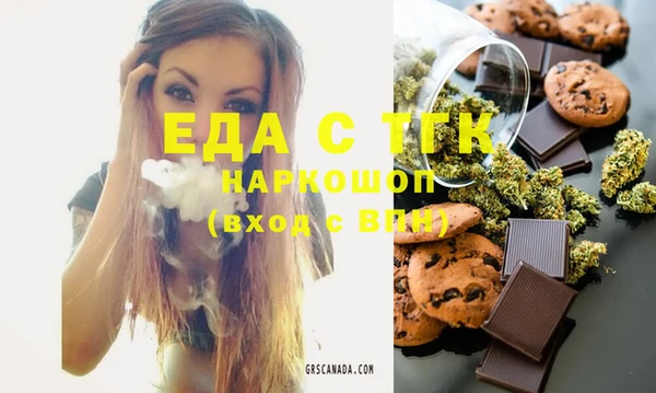 индика Менделеевск