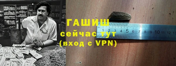 твердый Новозыбков