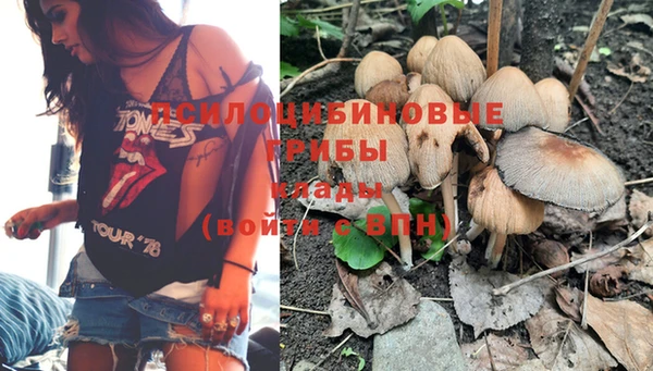 стафф Новокубанск