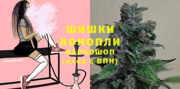 твердый Новозыбков