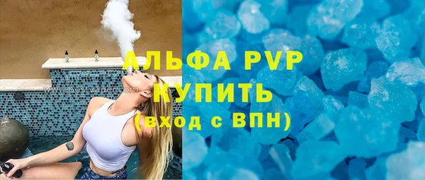 твердый Новозыбков