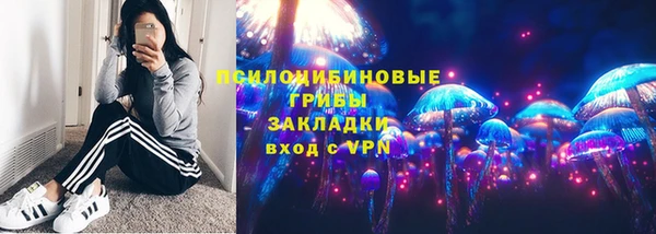 твердый Новозыбков